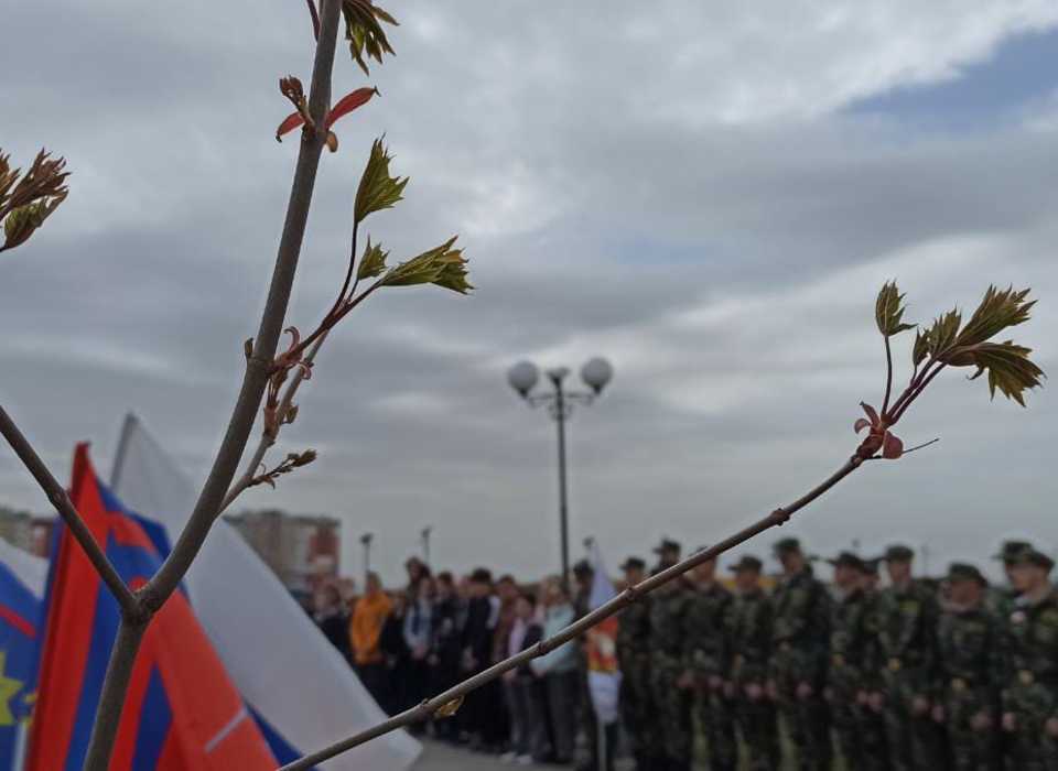 Международная акция «Сад памяти» стартует в Волгоградской области