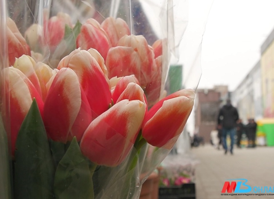 Майские праздники для волгоградцев начнутся уже в апреле