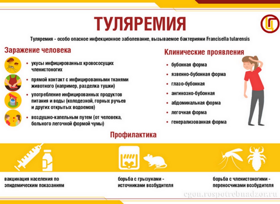 32 района Волгоградской области признали опасными из-за туляремии