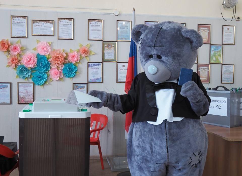 В Волгоградской области мужчина пришел на выборы в костюме медведя