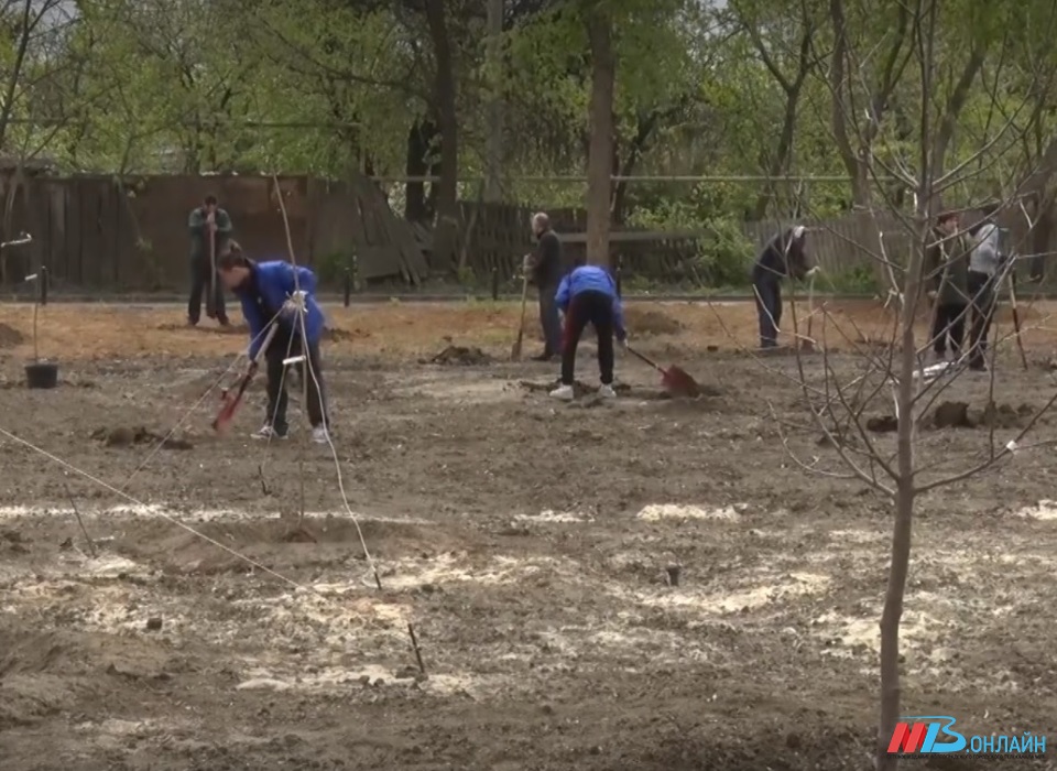 В рамках месячника благоустройства в Волгограде приступили к уборке территорий