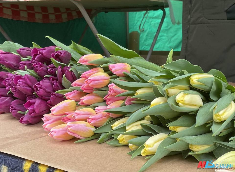 Волгоградку обманули на 15,5 тысяч рублей при покупке несуществующих цветов
