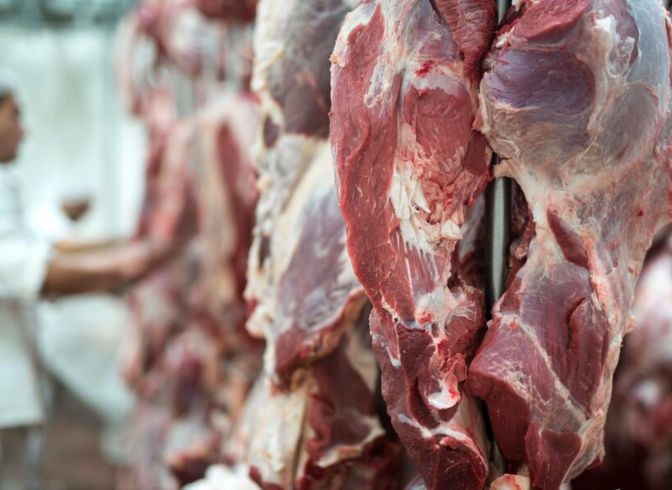 В Волгограде граммы мяса превратили в килограммы фарша