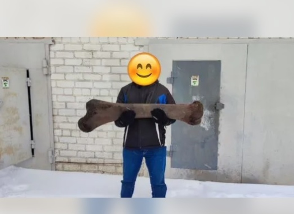 В Волжском за 100 000 рублей выставили на продажу бедренную кость мамонта