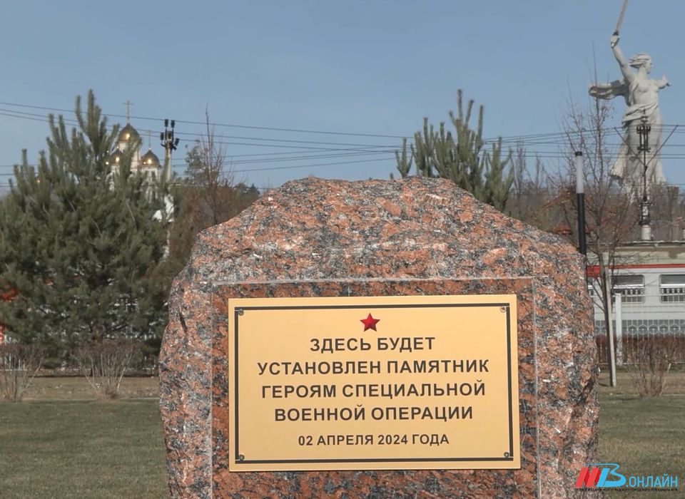 Волгоградцы поддержали решение об открытии памятника участникам СВО