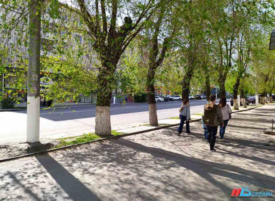 В Волгограде столбики термометра 24 апреля поднимутся до +23 градусов