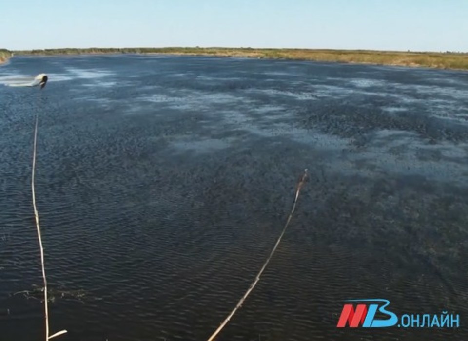 Волгоградец погиб во время рыбалки, зацепившись удочкой за ЛЭП