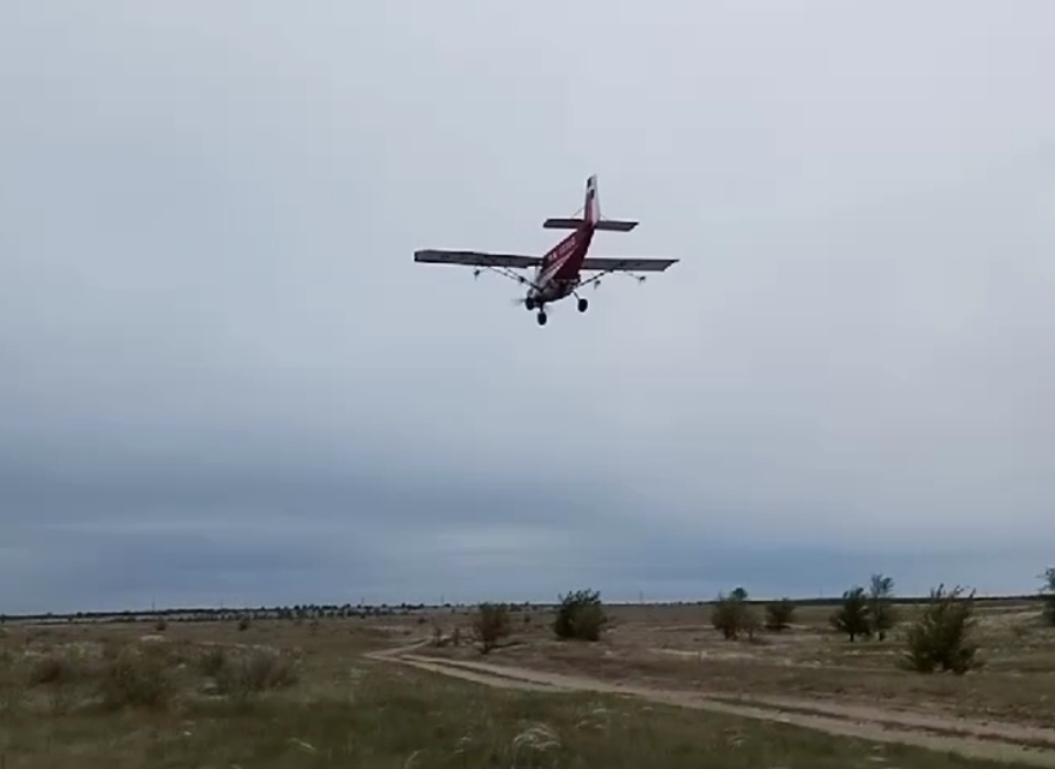 В Волгоградской области начали сезонную травлю саранчи