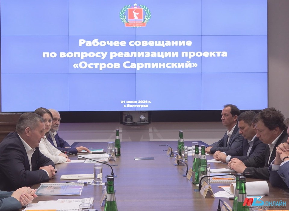 В Волгограде обсудили реализацию проекта развития острова Сарпинского
