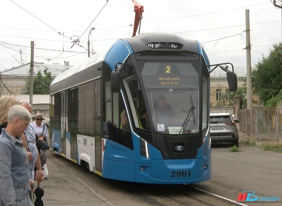 Новые «Львята» в Волгограде перевезли уже почти 60 тысяч пассажиров