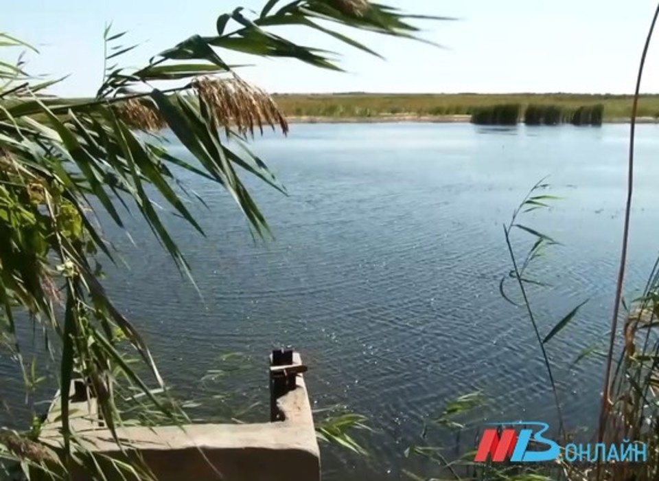 В Волгоградской области продолжают восстанавливать ерики и озера
