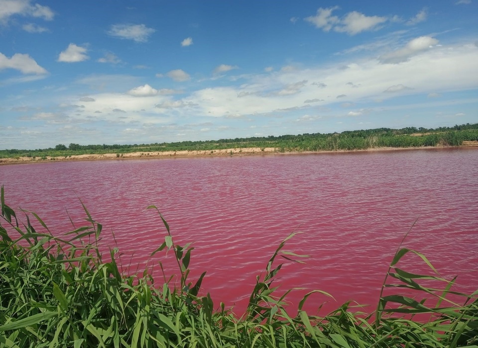 Специалисты установят ущерб от цветных прудов-накопителей в Волгоградской области