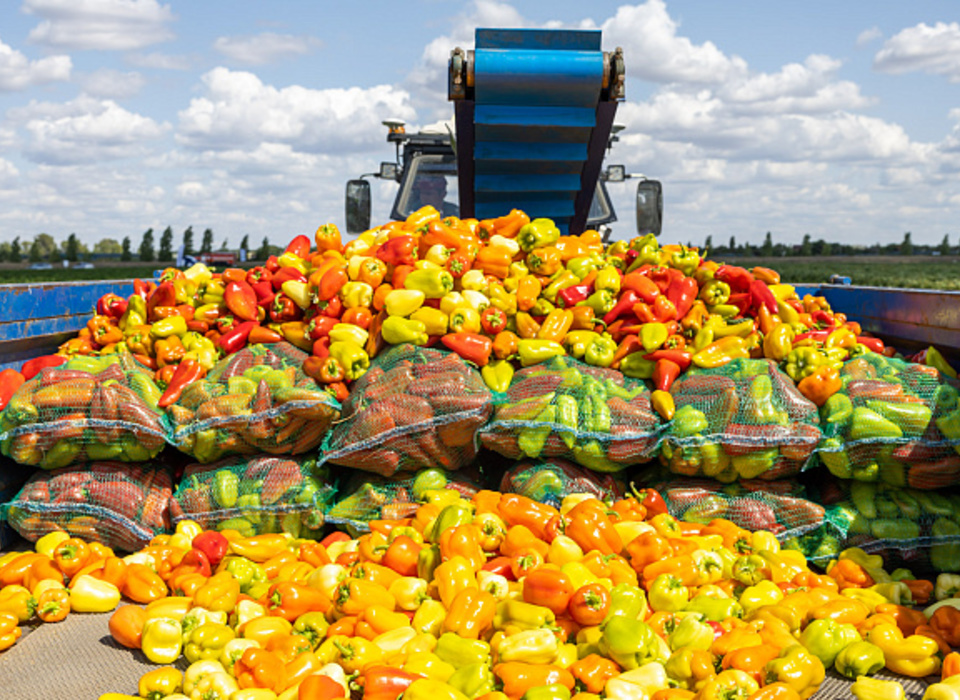 В Волгоградской области государство активно поддерживает сельскохозяйственные кооперативы