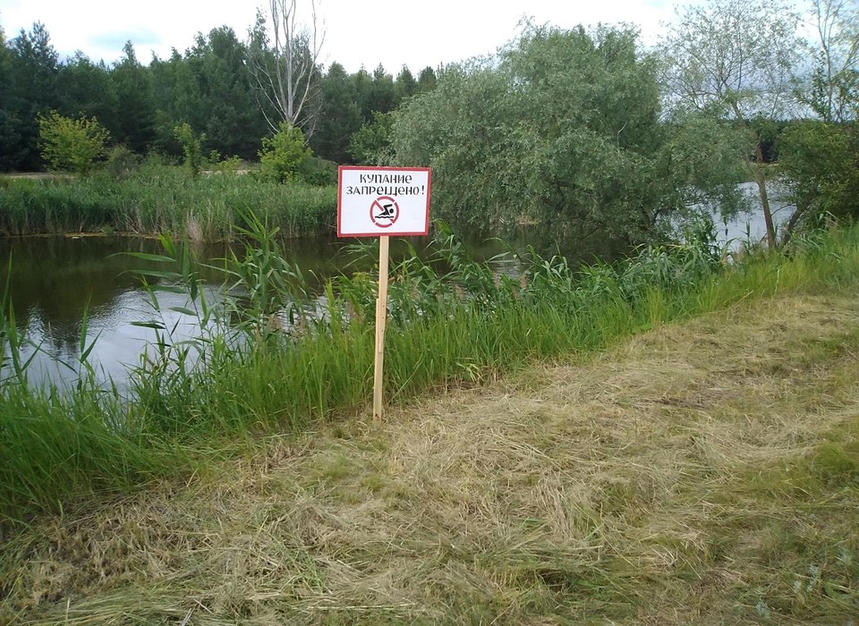 В пруду «Солдатский» в Волгоградской области нашли кишечную инфекцию
