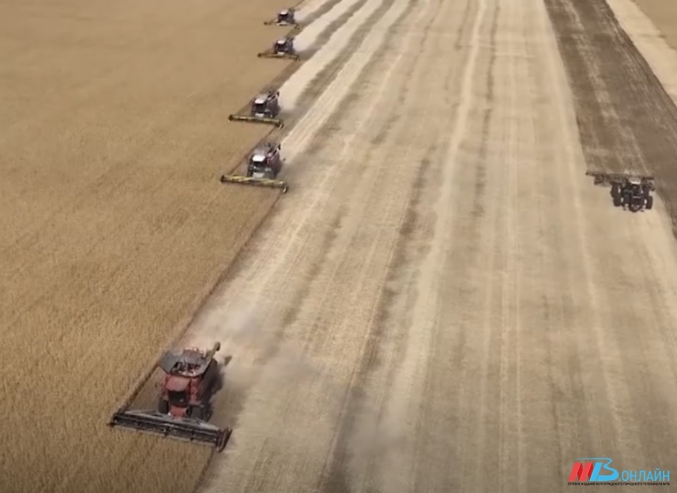 В Волгоградской области огонь уничтожил почти 60 гектаров пшеницы