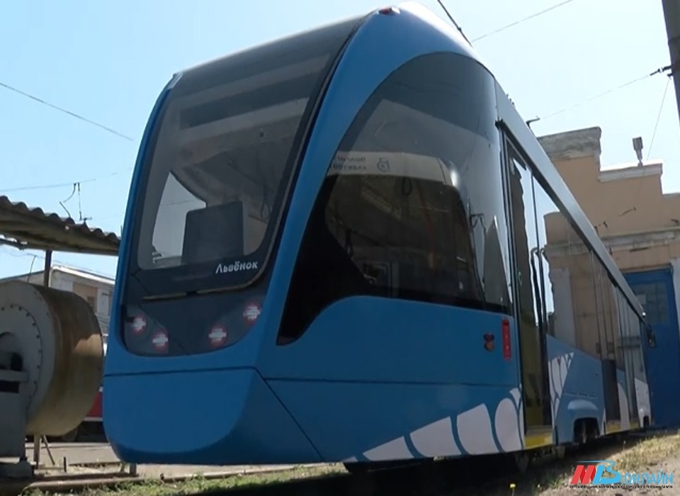 Волгоградские трамваи «Львёнок» перевезли 248 тысяч пассажиров за месяц