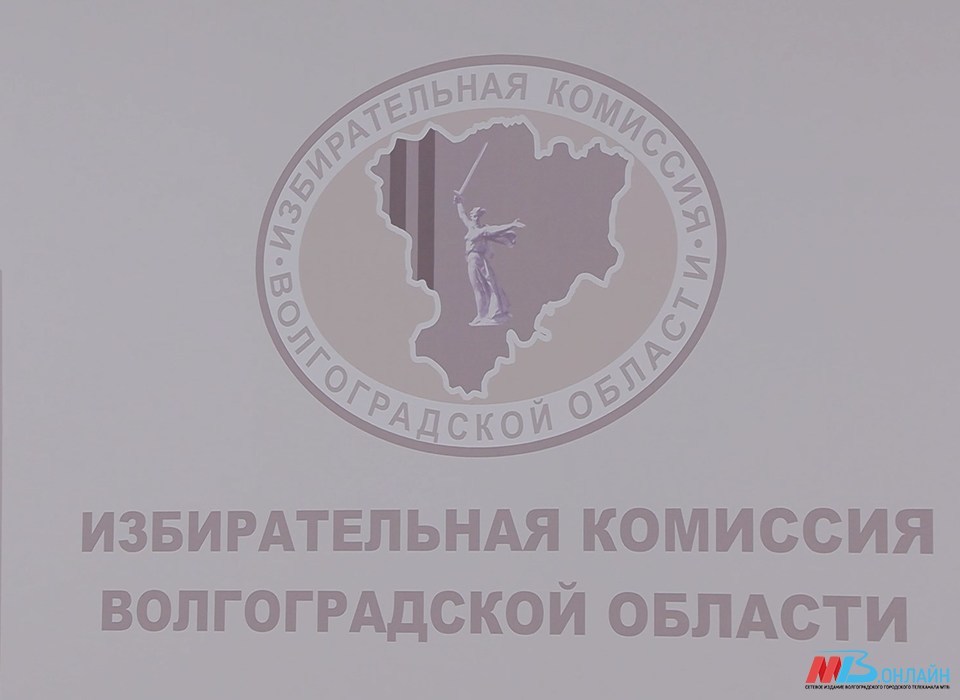 Второй кандидат в губернаторы Волгоградской области подал документы в ИКВО