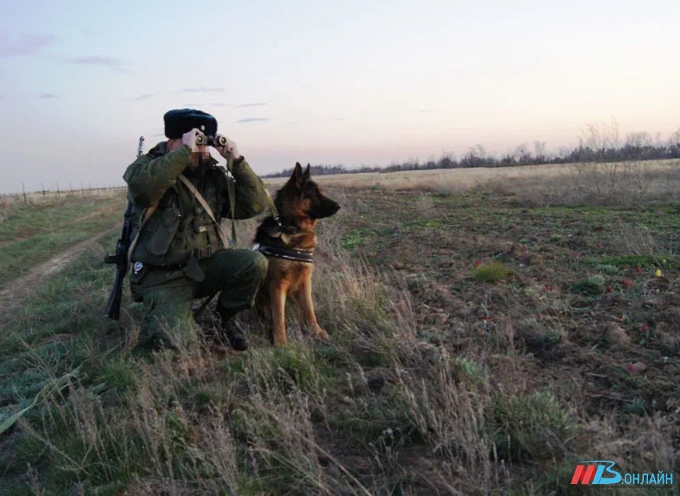 В Волгоградской области в ходе операции «Шекара – 2024» выявили 20 нарушителей