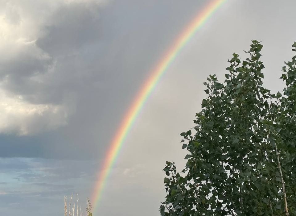 Жители Волгограда сфотографировали двойную радугу в небе