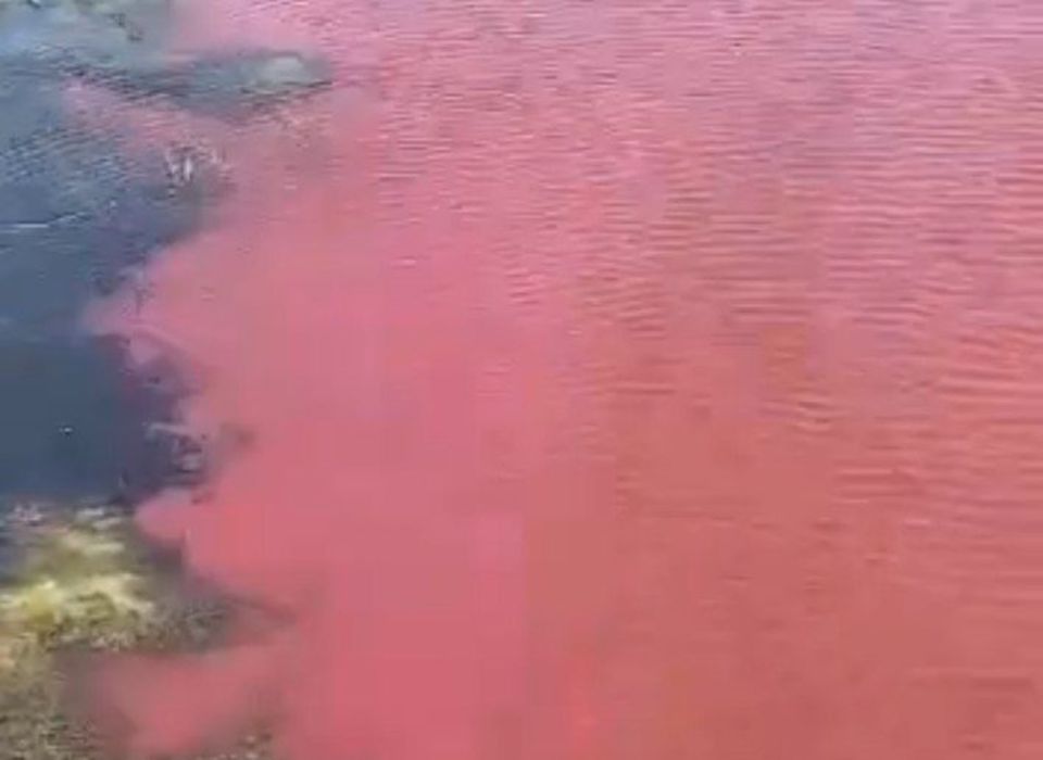 «Кровавая» река в Волгоградской области привлекла внимание прокуратуры