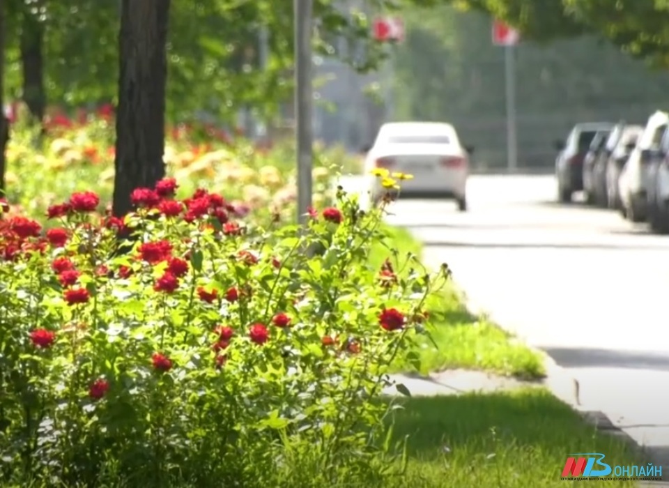 В Волгограде обновят одну из старейших улиц города