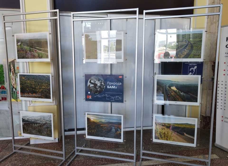 На ж/д вокзалах Волгограда и Астрахани открыли фотовыставку «Природа БАМа»