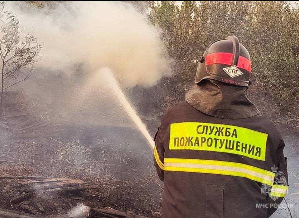 В Волгограде проверяли воздух после ландшафтного пожара