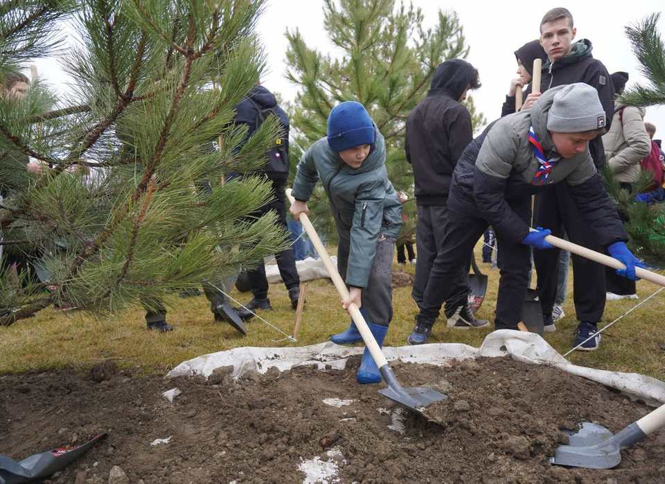 В Волгоградском ЦПКиО начался сезон благоустройства