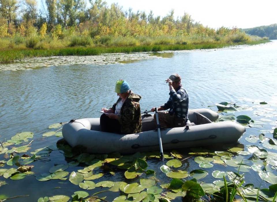 В Волгоградской области пересчитают численность редкой выхухоли