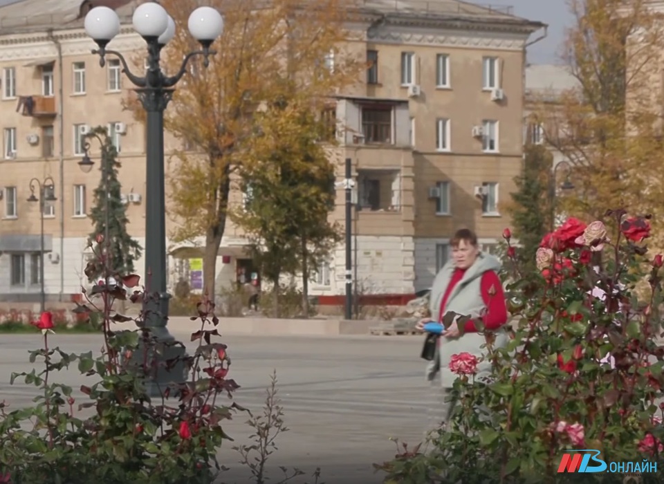 Теплую погоду до +26°С ожидают в Волгоградской области 2 октября