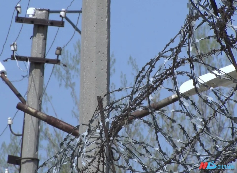 В Волгограде в госизмене обвинили осуждённого за сожжение Корана Никиту Журавеля