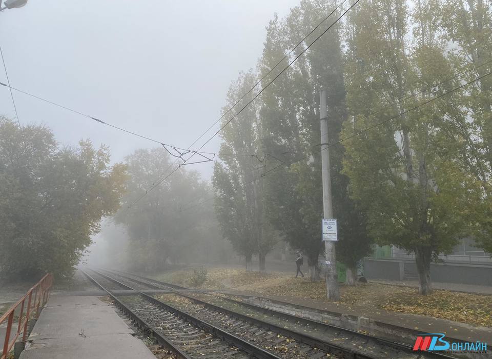 Что волгоградцам положено делать 23 октября, чтобы избавиться от недугов и проблем