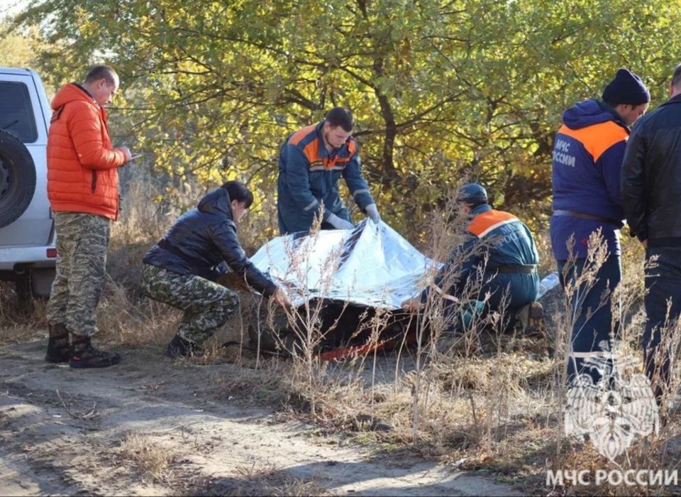 В Волгоградской области пропавшую в лесу пенсионерку спасли через два дня