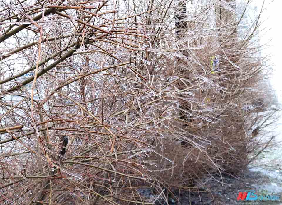 Мокрый снег с порывистым ветром идет в Волгоградскую область