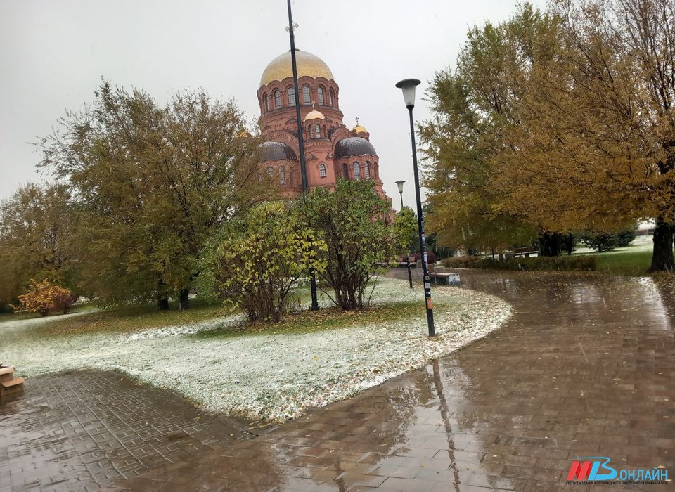 Что волгоградцам делать 7 ноября, дабы бедность обошла дом стороной