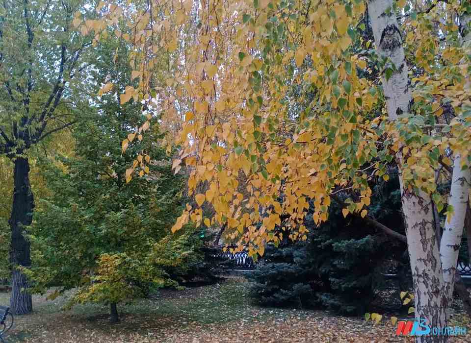 Что категорически запрещено делать волгоградцам 9 ноября, чтобы не было большой беды