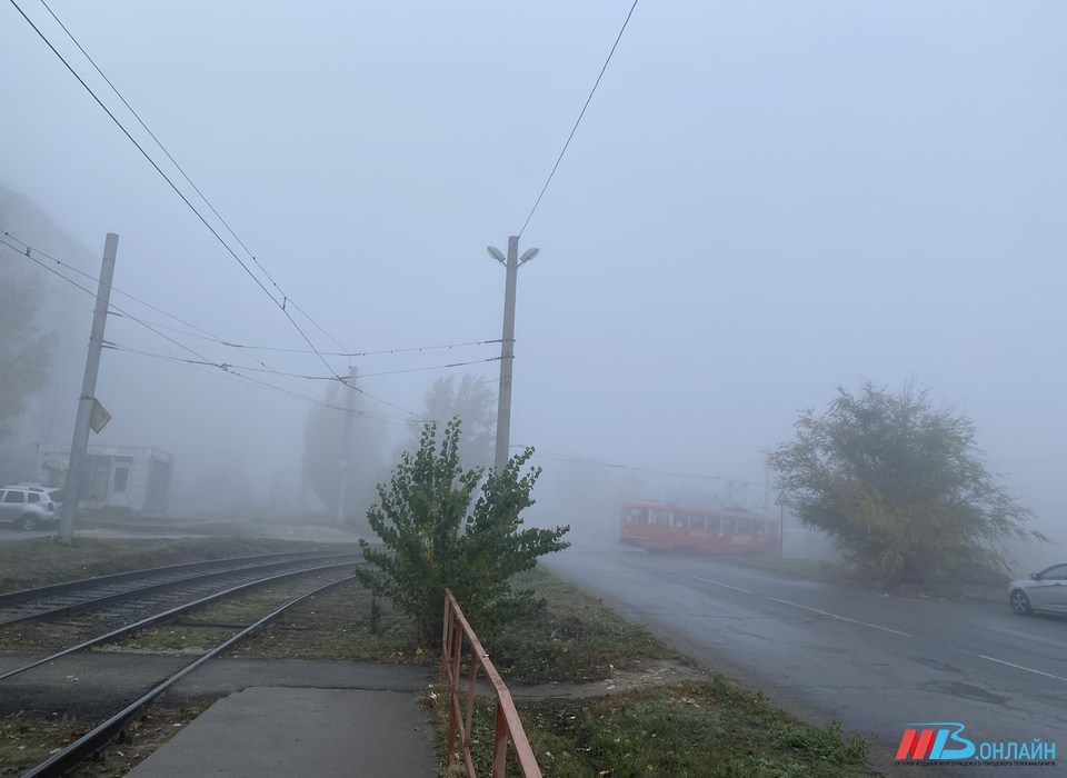 Четыре уровня погодной опасности угрожают жителям Волгоградской области