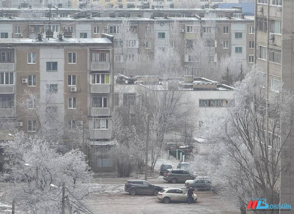 Волгоград укрылся белым инеем перед Новым годом