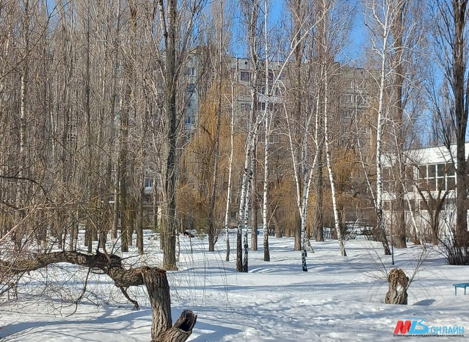 Снег с лёгким морозом и сильным ветром идёт в Волгоград