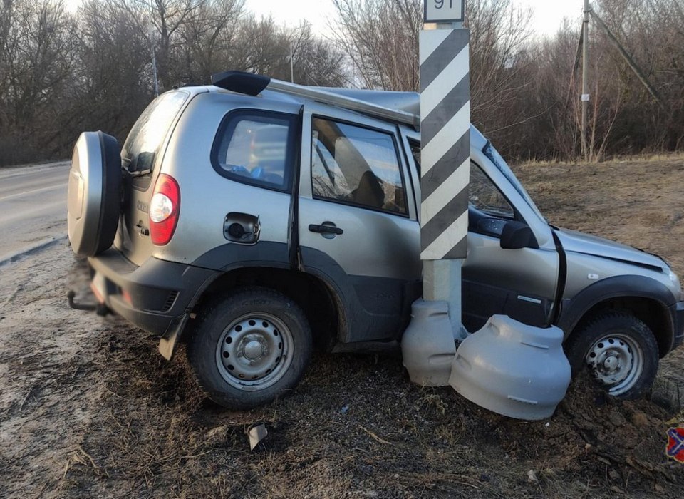 Водитель, врезавшийся в ЛЭП под Волгоградом, умер до приезда врачей