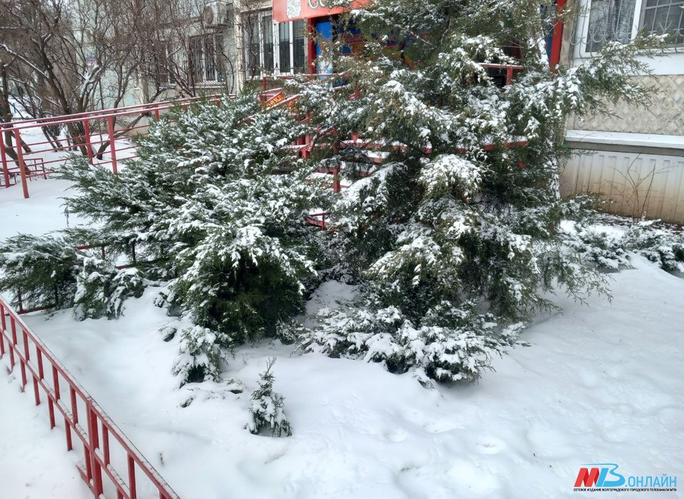 Мокрый снег и плюсовая температура до 7 °С идут в Волгоградскую область