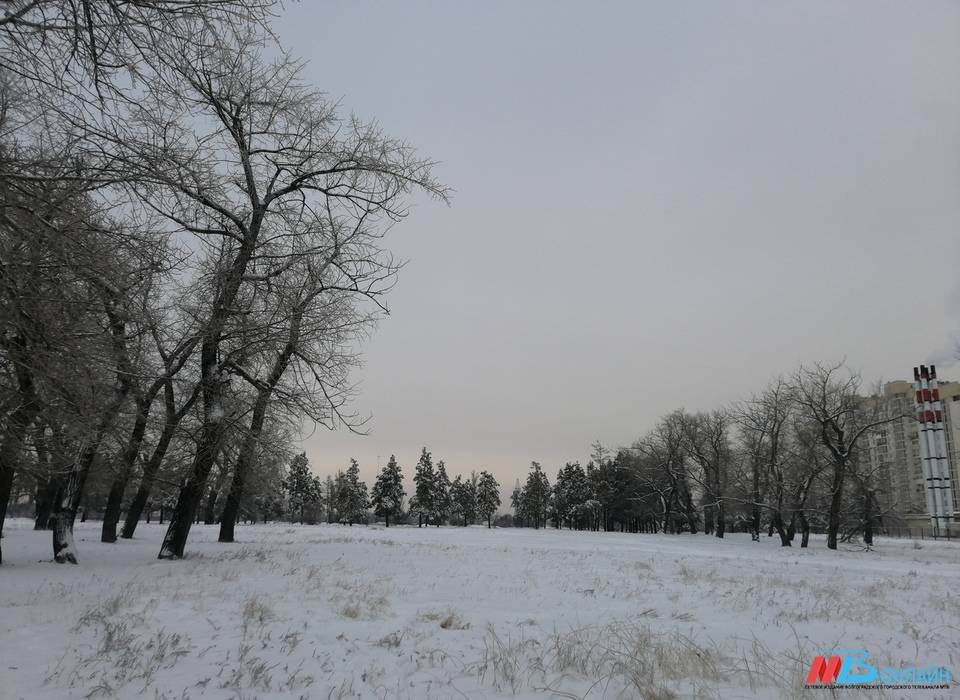 В Волгоградскую область придут морозы до -24º