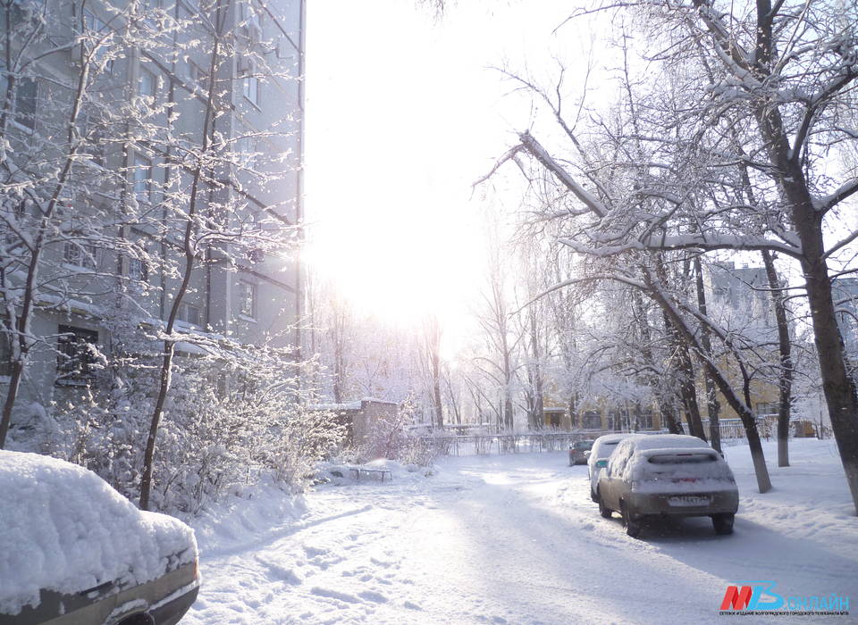 Морозы до -23 °С, снегопад и усиленный ветер идут в Волгоградскую область