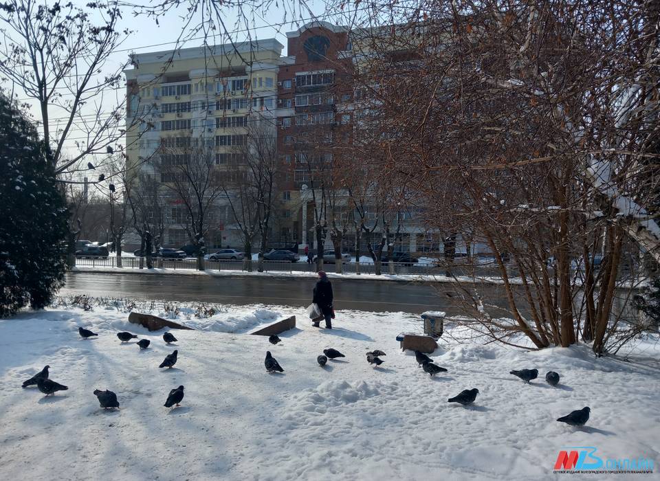 Мороз до -16 °С и небольшой снег прогнозируют в Волгограде