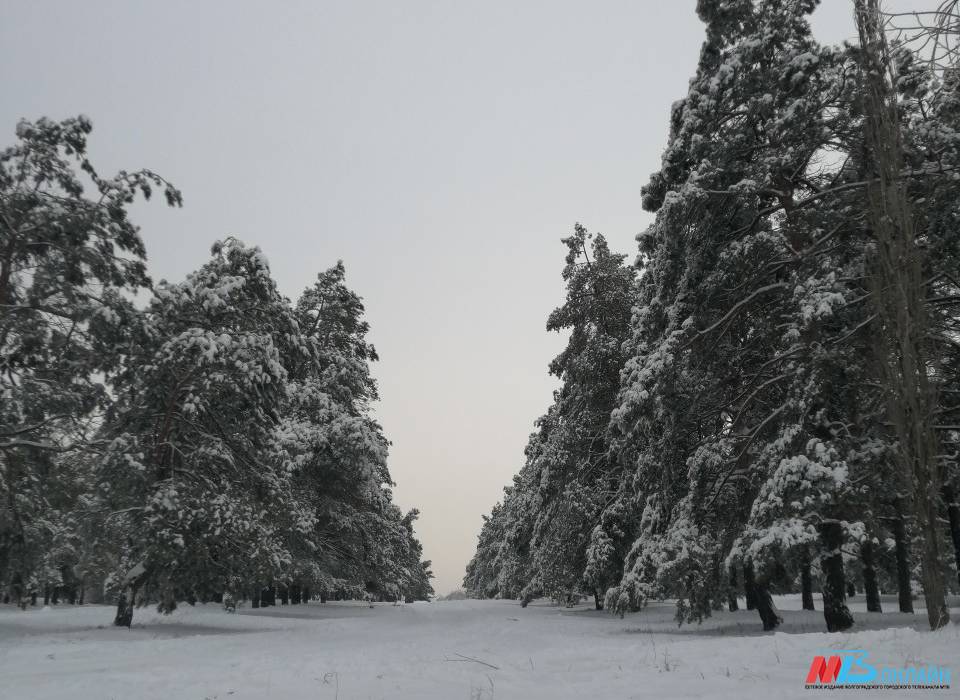 Жгучие морозы до -23 градусов ударят в Волгоградской области