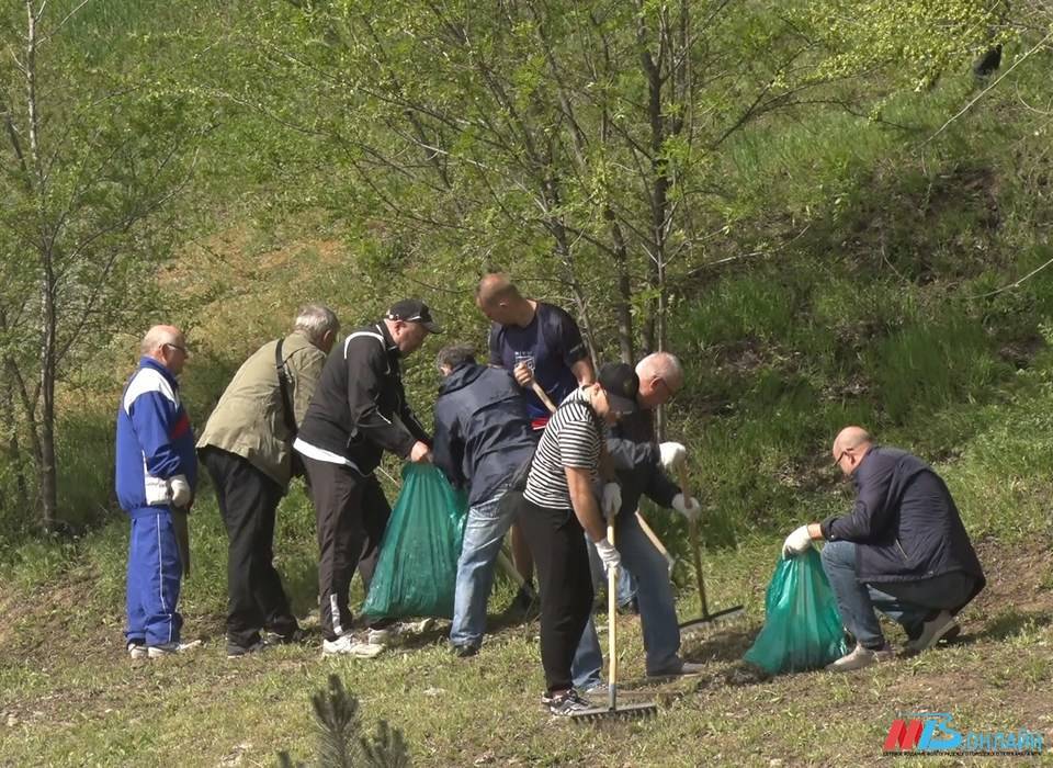 1500 волгоградцев приняли участие в городском субботнике