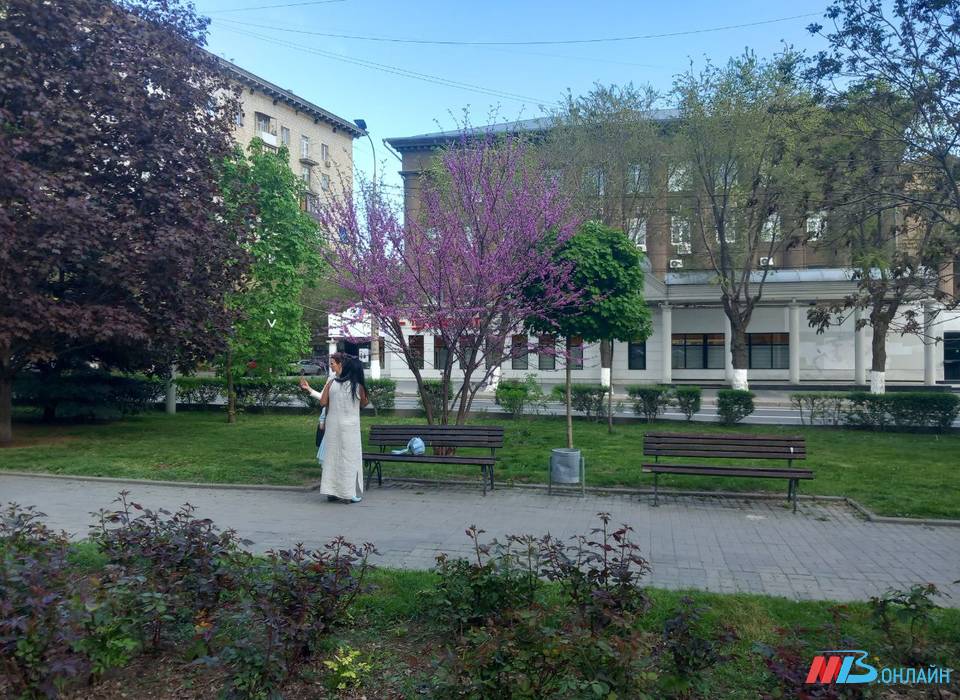 В Волгоградскую область идут грозы, похолодание и мокрый снег