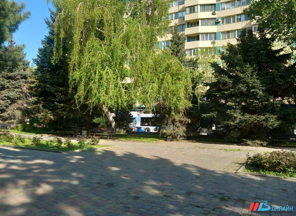 Волгоградскую область на Радоницу накроют заморозки
