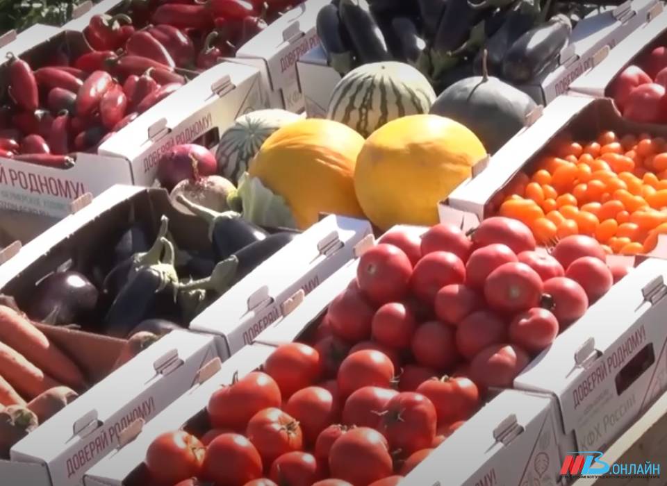 В Волгоградской области упали цены на огурцы и выросли на лук