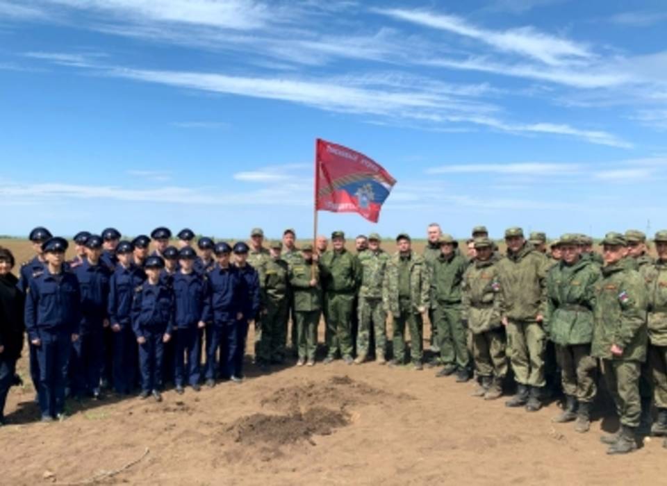 Поисковики волгоградского СК открыли Вахту Памяти-2025
